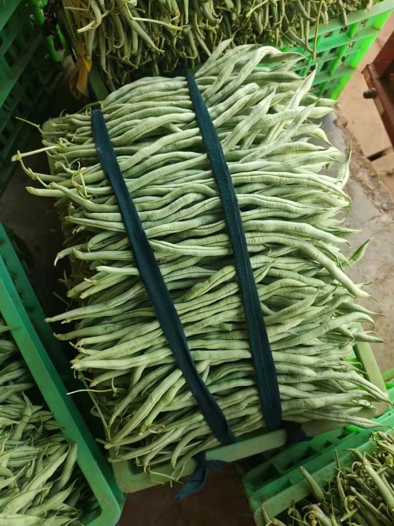 精品无筋豆