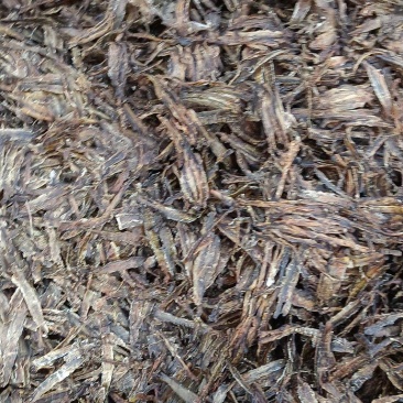 沪地龙精品全开无泥包过检