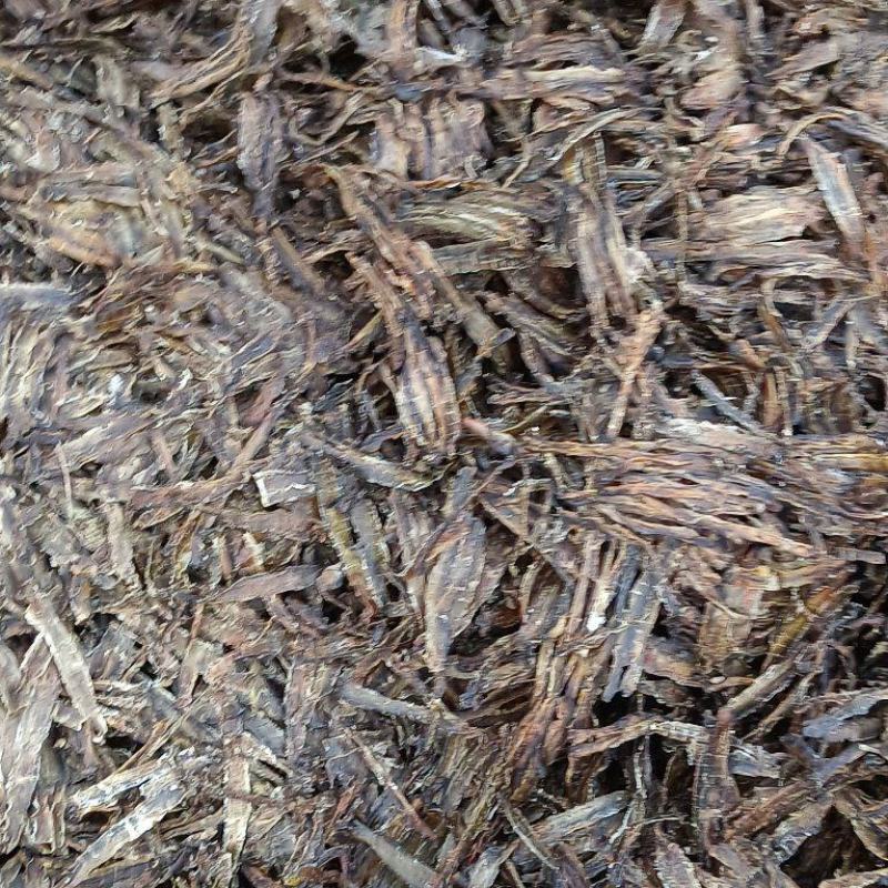 沪地龙精品全开无泥包过检