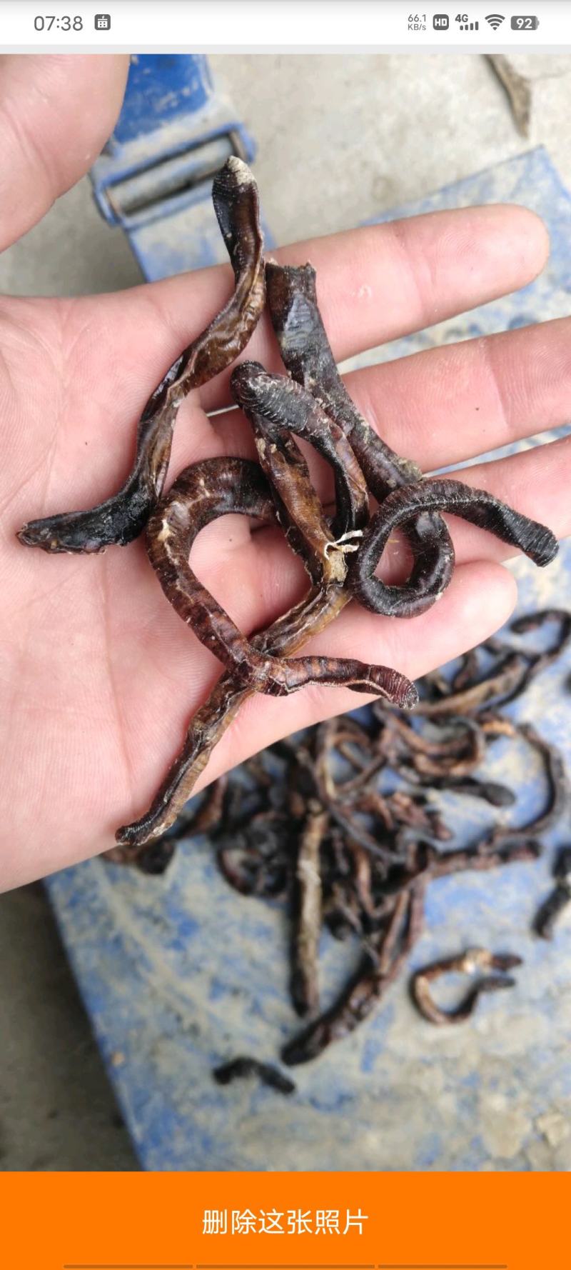 沪地龙精品全开无泥包过检