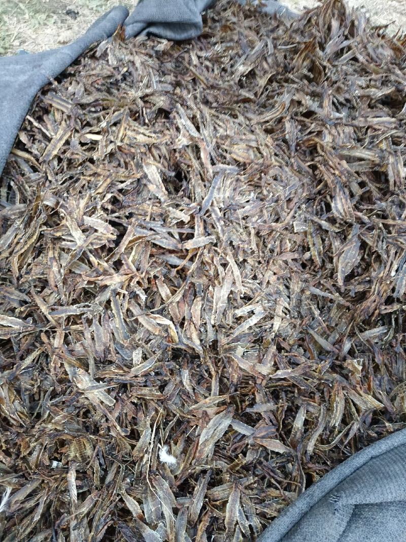 沪地龙精品全开无泥包过检