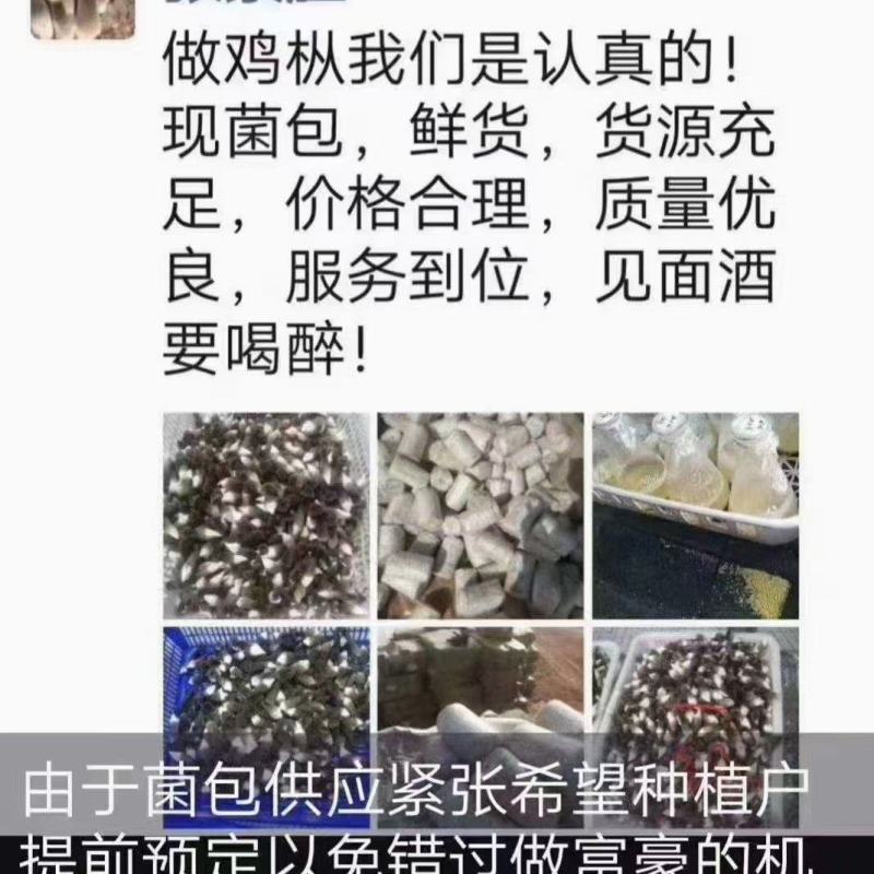 常年研发生产菌包包教种植技术回收产品技术保证