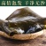 福建海带干货日晒新菜海参菜鲍鱼菜批发(不含运费)