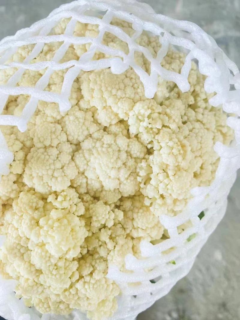 【热卖】松花菜，产地直发，欢迎进店，咨询选购。