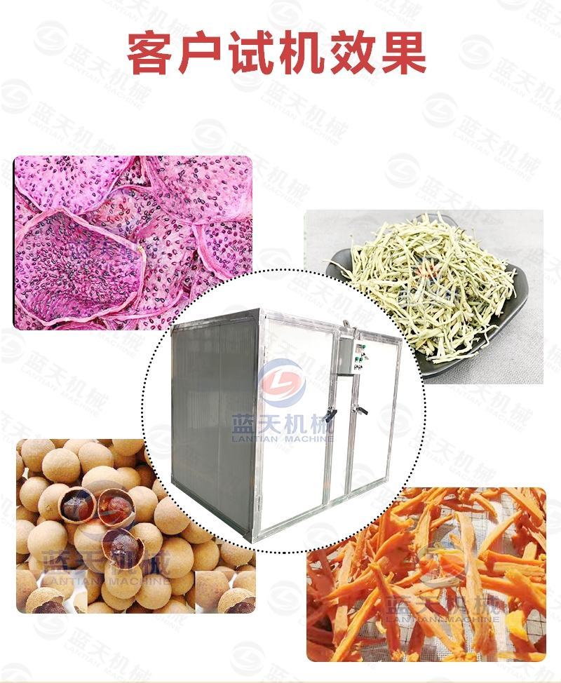 金银花烘干机小型电加热金银藤二宝藤子二花忍冬花茶干燥机