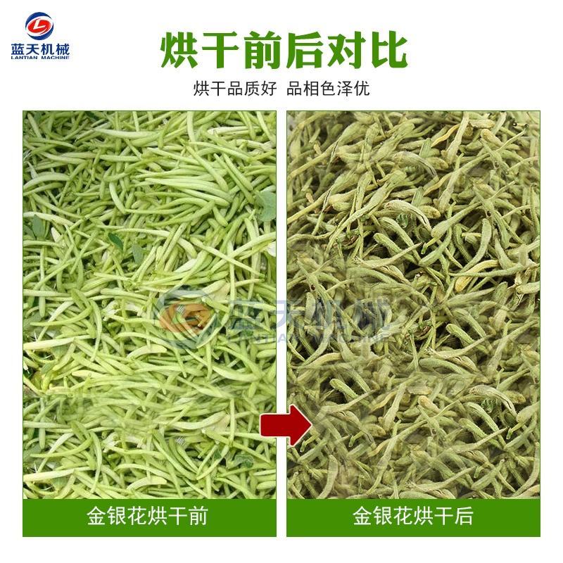 金银花烘干机小型电加热金银藤二宝藤子二花忍冬花茶干燥机