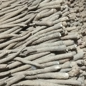铁棍山药