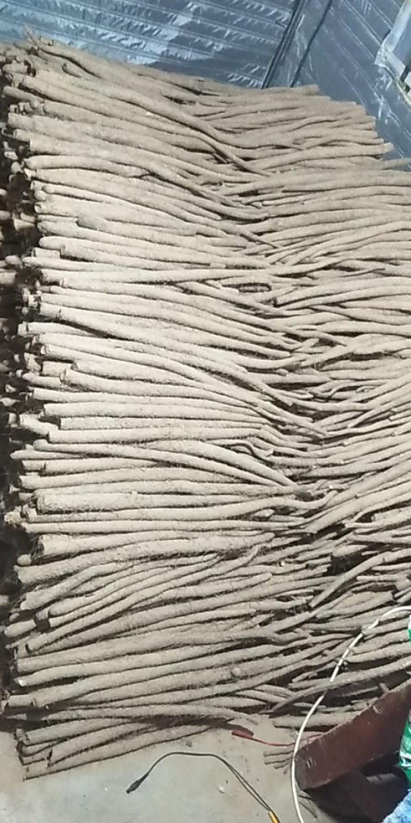 铁棍山药