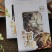 冻干菌汤包云南特产七彩菌汤包可定制一件代发