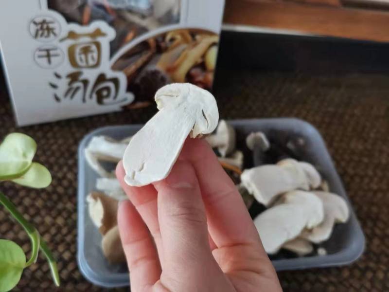 冻干菌汤包云南特产七彩菌汤包可定制一件代发