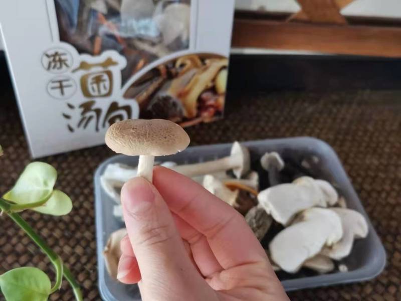 冻干菌汤包云南特产七彩菌汤包可定制一件代发