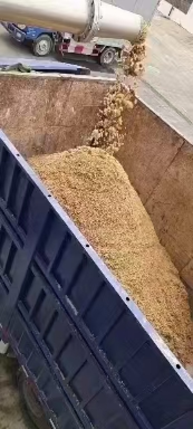 啤酒糟