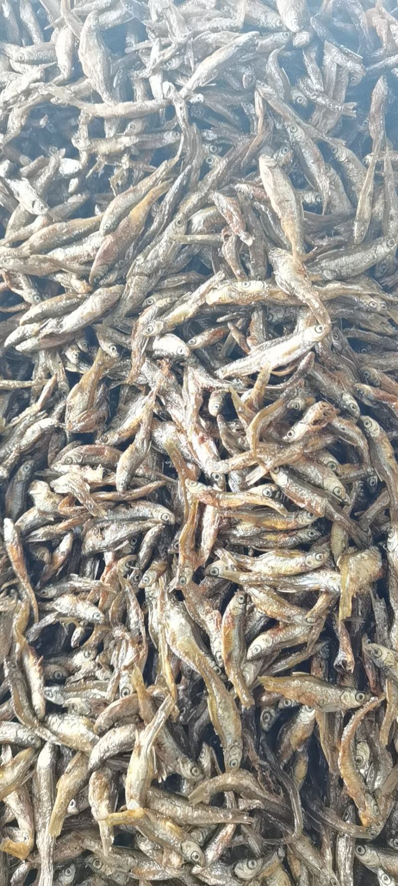 鱼干