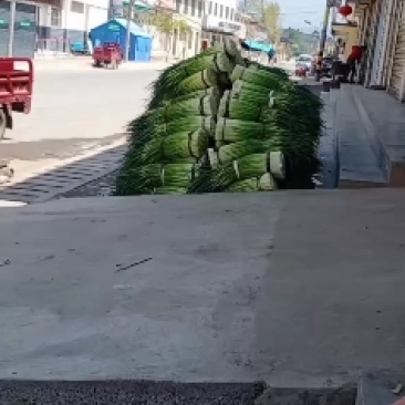 甘肃陇南徽县蒜台