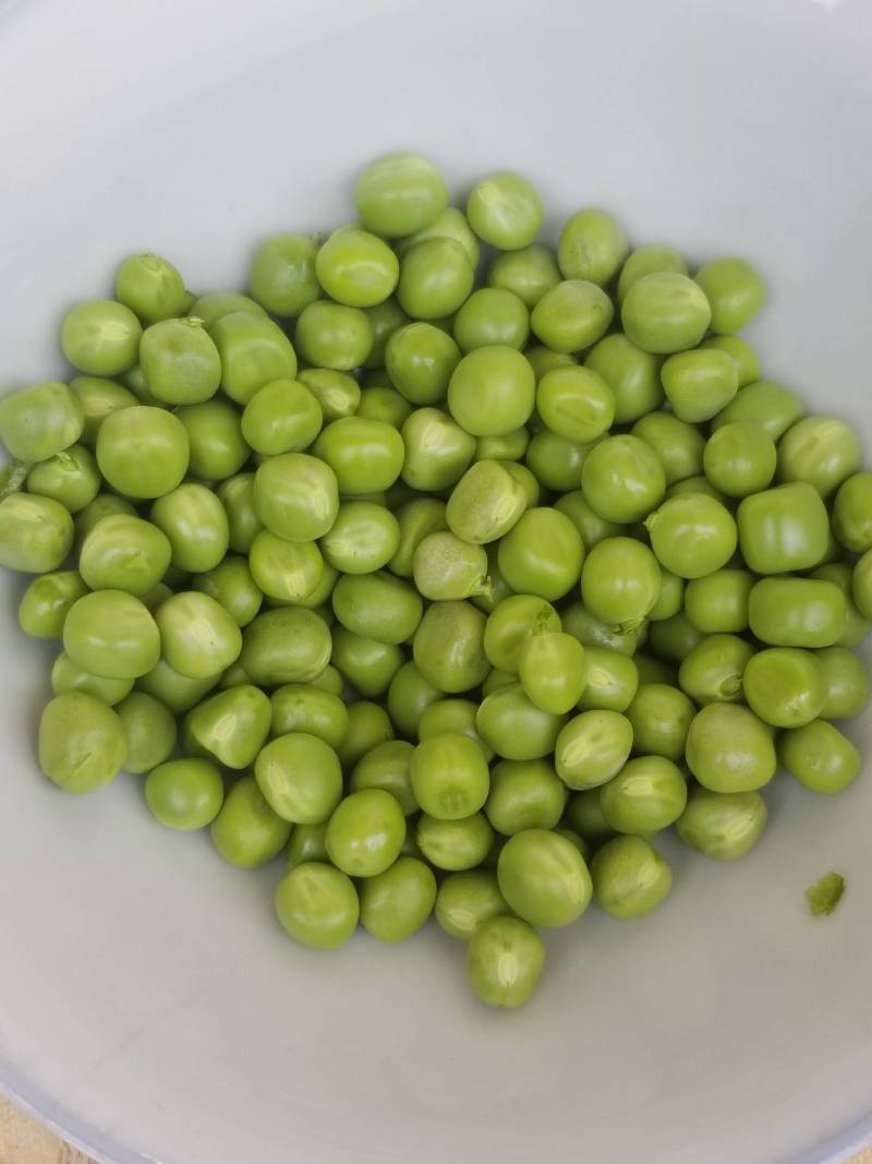 精品长寿仁豌豆刚上市，需要的老板些联系一下