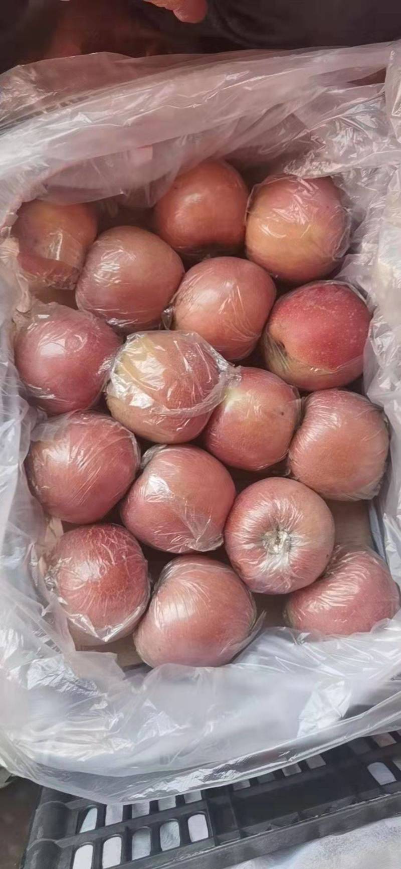 膜袋富士色好个大口嘎嘎甜
