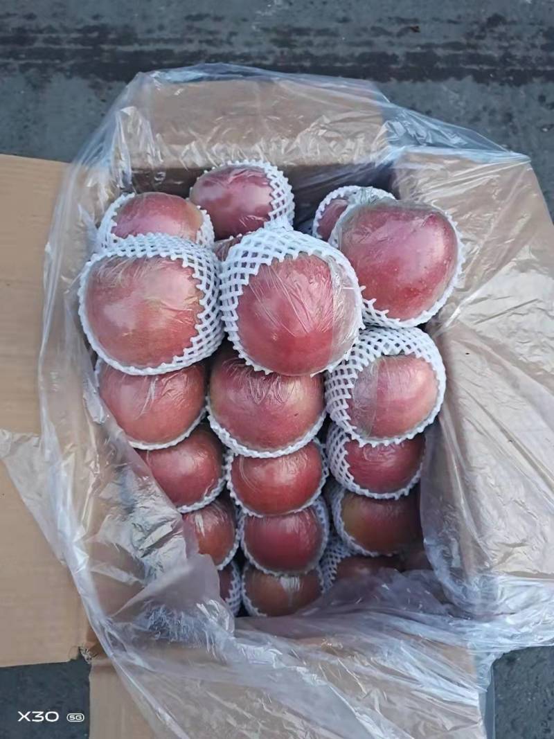 膜袋富士色好个大口嘎嘎甜