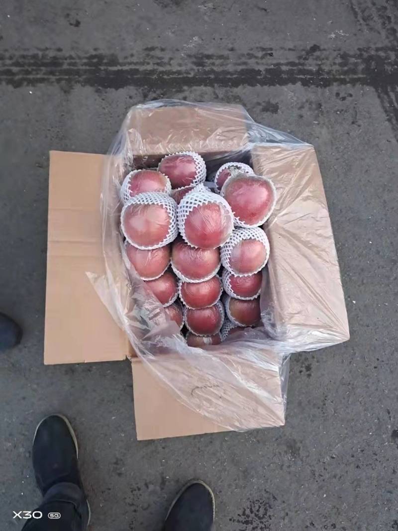 膜袋富士色好个大口嘎嘎甜