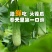 山东莘县燕店羊角蜜，博洋9，玉菇，绿宝等各种甜瓜