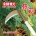 新款锰钢镰刀割草刀砍柴刀农具割玉米户外开路刀农用除草神器