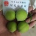 陆河青梅果园直发