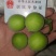 陆河青梅果园直发