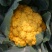 金色花菜种子黄色花椰菜菜花种籽稀有特色金黄色蔬菜