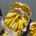 进口菲律宾香蕉大量现货全国各地发货上海供货欢迎下单