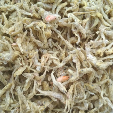 干鱼干虾大量亏本清仓特价促销