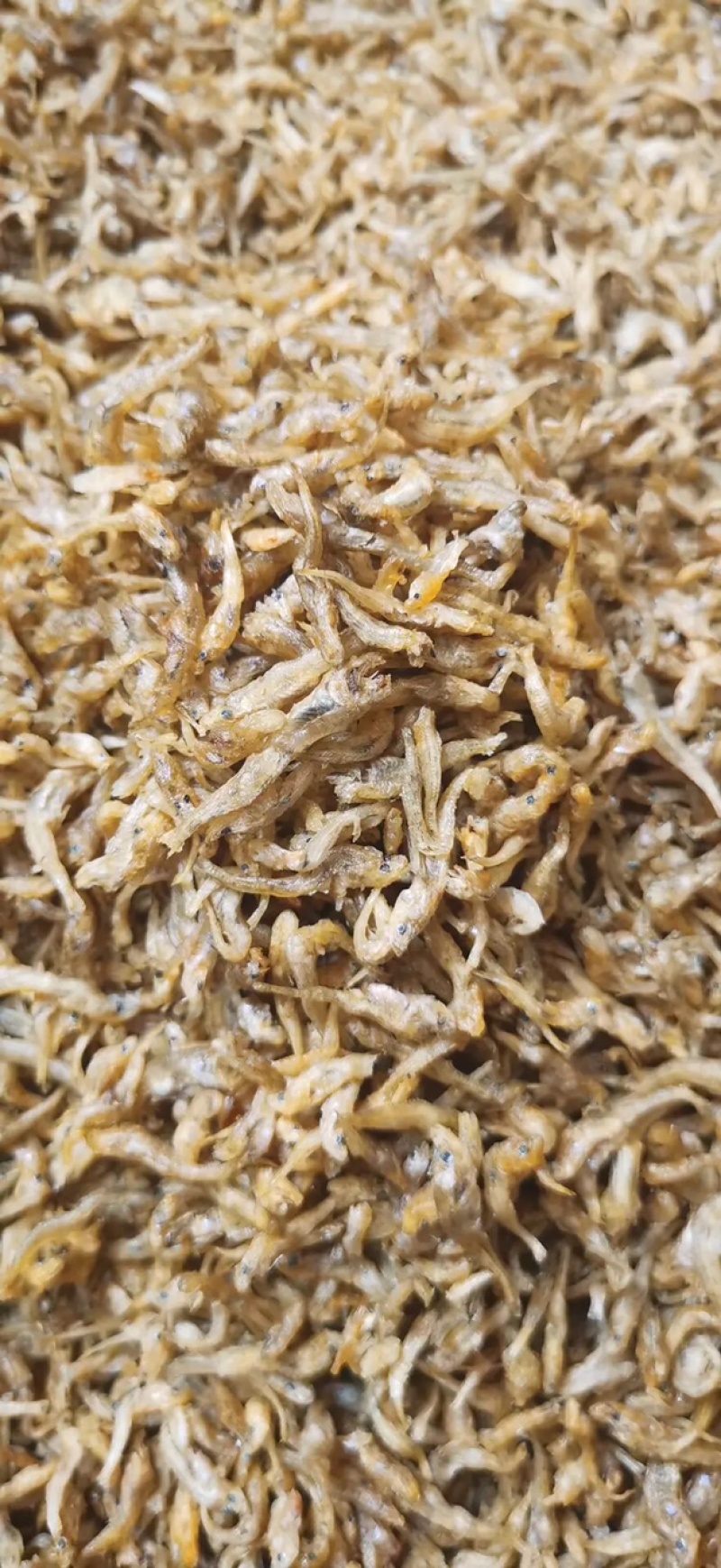 干鱼干虾大量亏本清仓特价促销