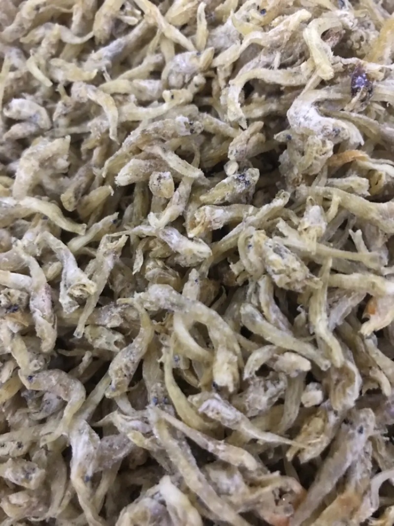 干鱼干虾大量亏本清仓特价促销