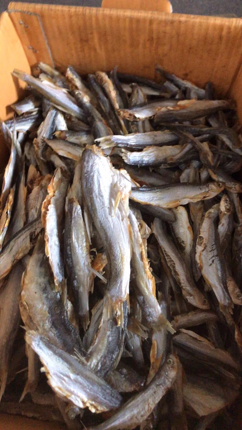 干鱼干虾大量亏本清仓特价促销