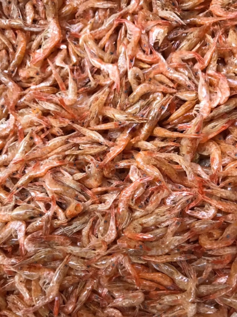 干鱼干虾大量亏本清仓特价促销