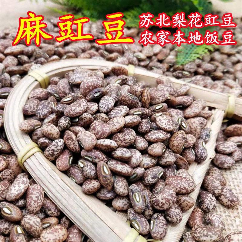 麻豇豆种子东北花豇豆种籽江豆小饭豆软糯易煮花豆五谷杂粮豆