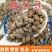 麻豇豆种子东北花豇豆种籽江豆小饭豆软糯易煮花豆五谷杂粮豆