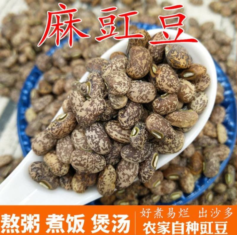麻豇豆种子东北花豇豆种籽江豆小饭豆软糯易煮花豆五谷杂粮豆