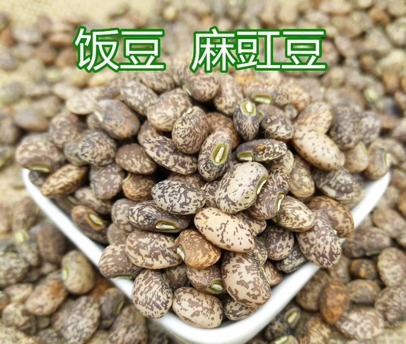 麻豇豆种子东北花豇豆种籽江豆小饭豆软糯易煮花豆五谷杂粮豆