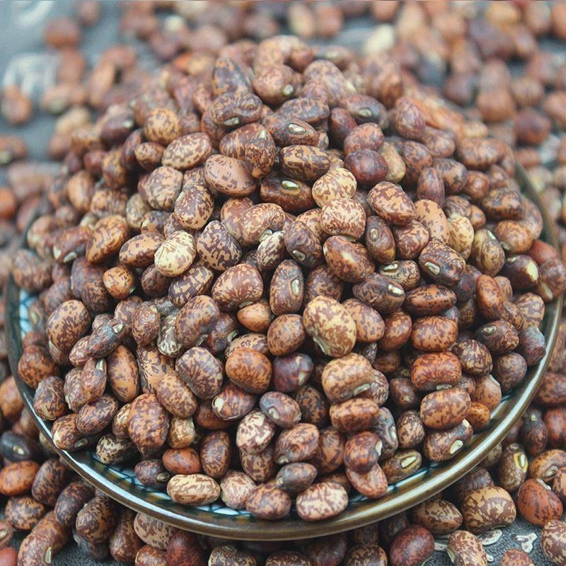 麻豇豆种子东北花豇豆种籽江豆小饭豆软糯易煮花豆五谷杂粮豆