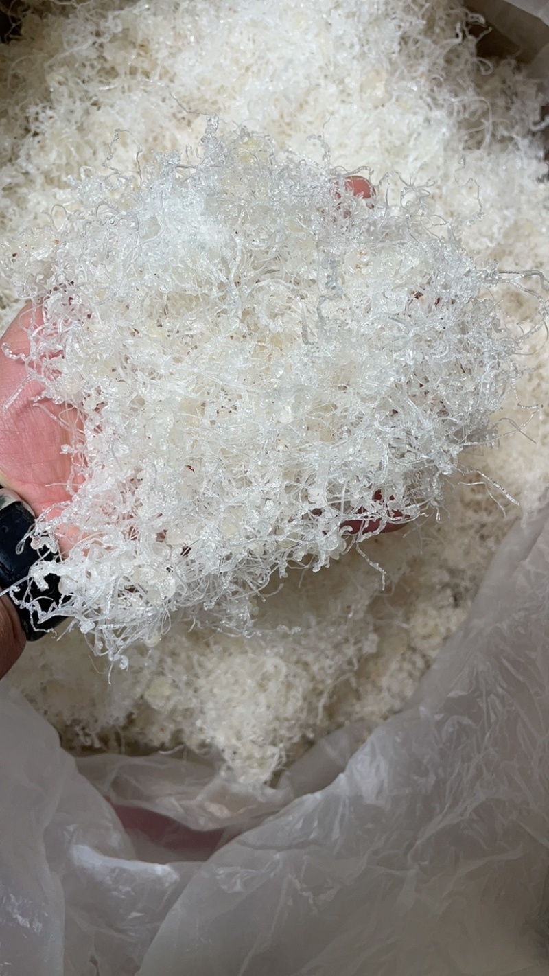 缅甸雪燕，号称农民的燕窝，产地一手货源，欢迎选购。