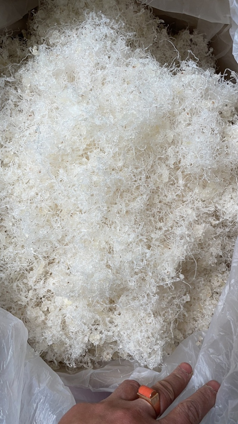 缅甸雪燕，号称农民的燕窝，产地一手货源，欢迎选购。