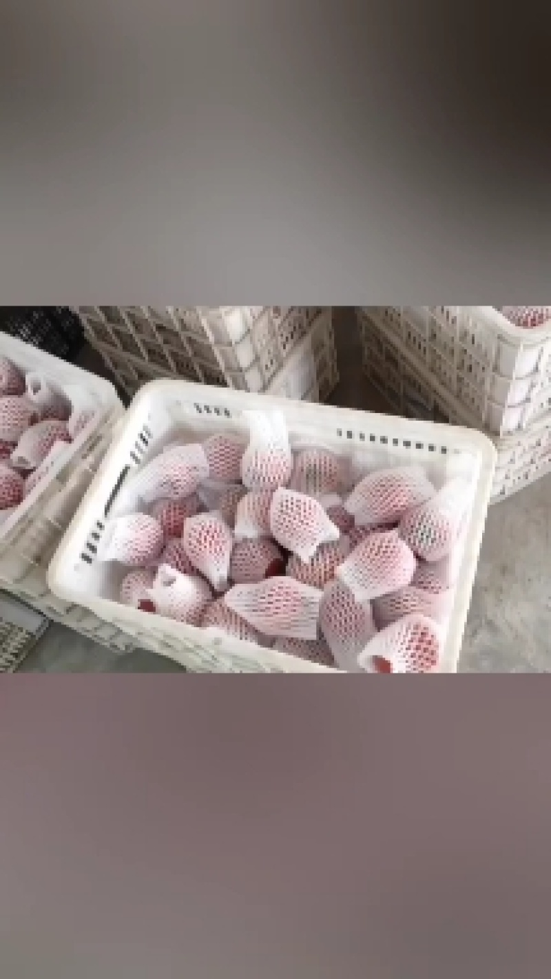 普罗旺斯西红柿