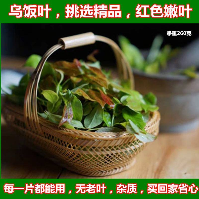 乌米饭叶