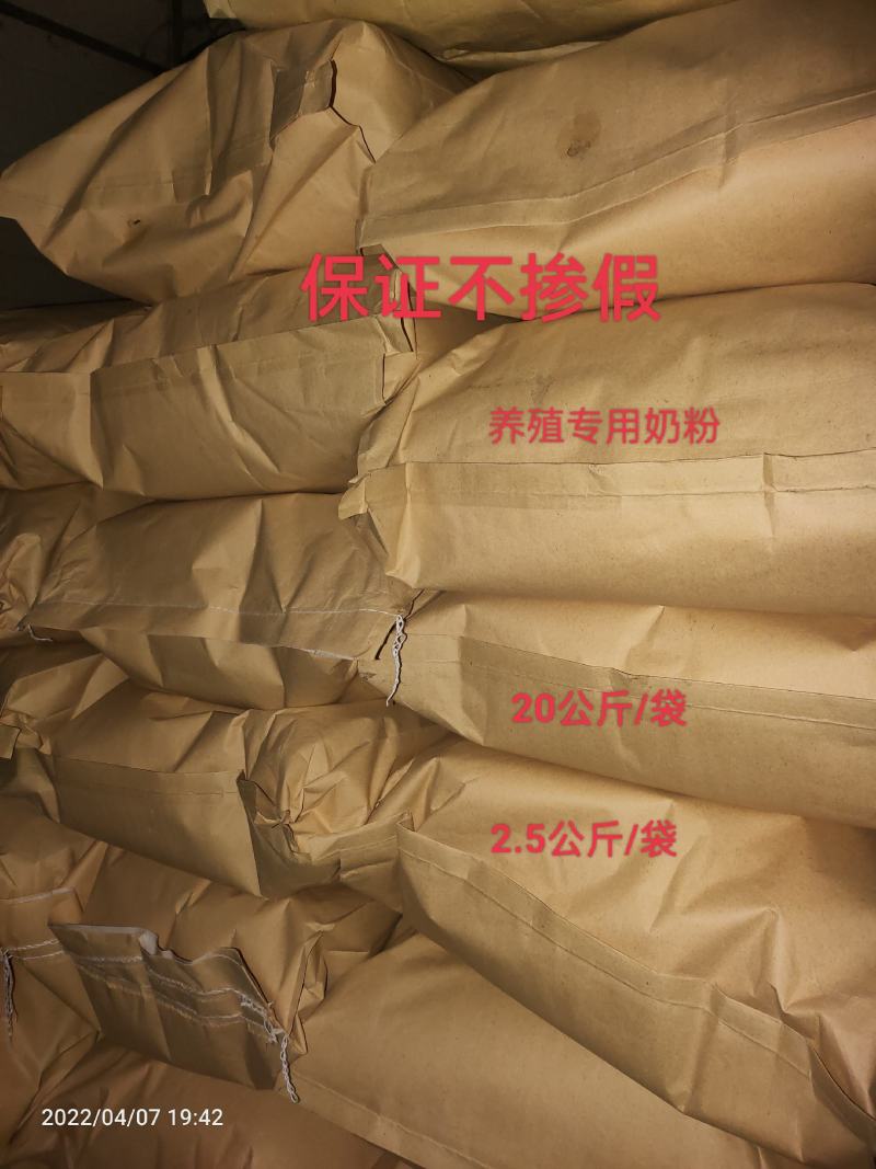 近期拆包奶粉，用于宠物，猪牛羊营养保健品