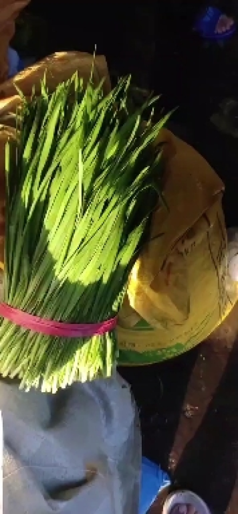 食品厂。质量好价格优。无蜗牛。。。。。。，，，，无草