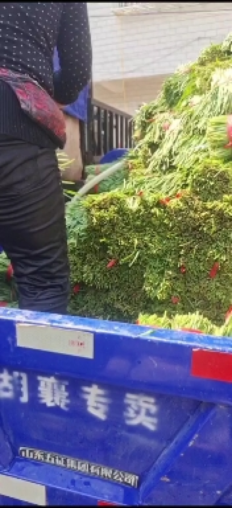 食品厂。质量好价格优。无蜗牛。。。。。。，，，，无草