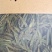 茶叶，有龙井是43.青茶，，分，独牙，一牙一，毛峰