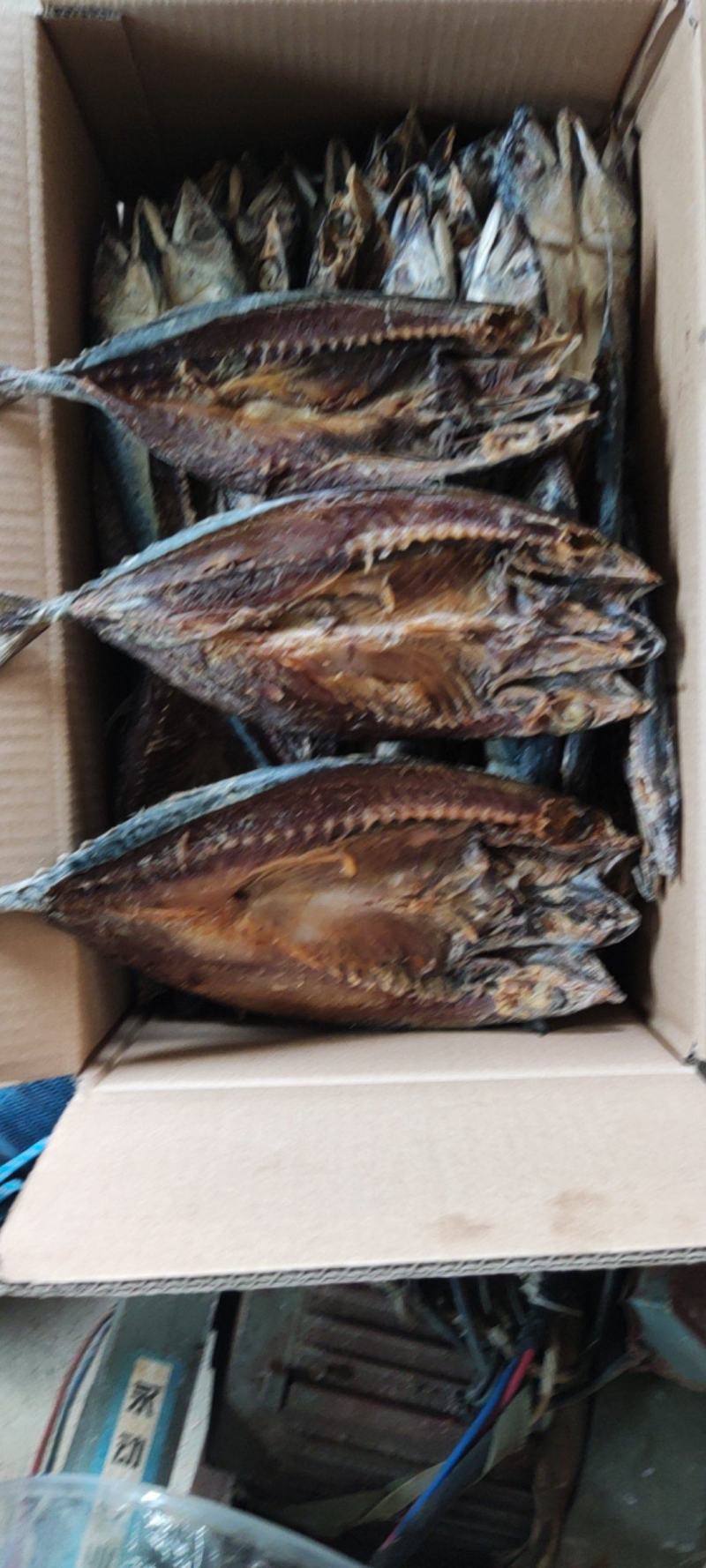 鲐鲅鱼干糟香台鲅鱼干鱼干鲅鱼干台鲅鱼