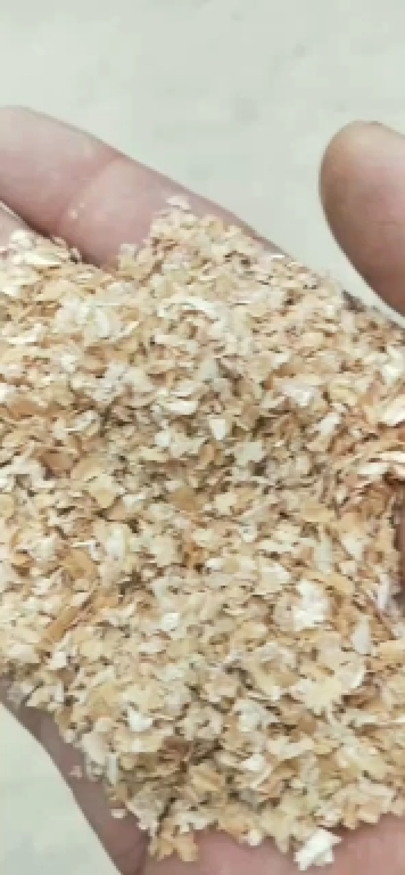 麸皮大量批发零售，中粗麸皮都有，价格惊喜，济南章丘提货