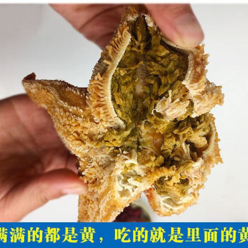 海星海鲜鲜活水产满籽青岛五角星海五星熟冻活的大海星新