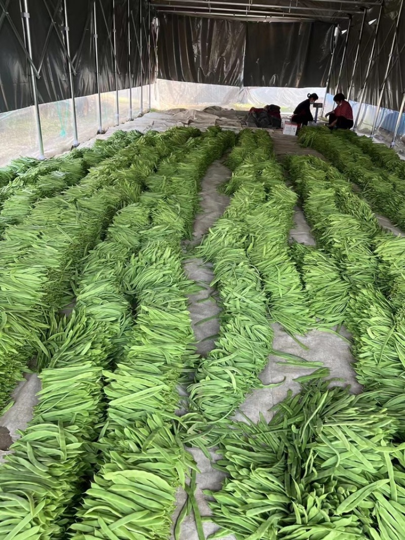 品种齐全：质量标准，价格合理，量大从优，欢迎下单